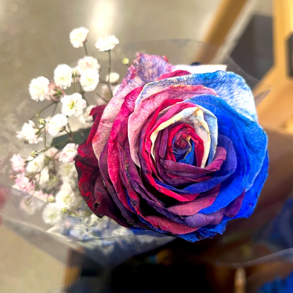 Roses are red, white, and blue 🌹